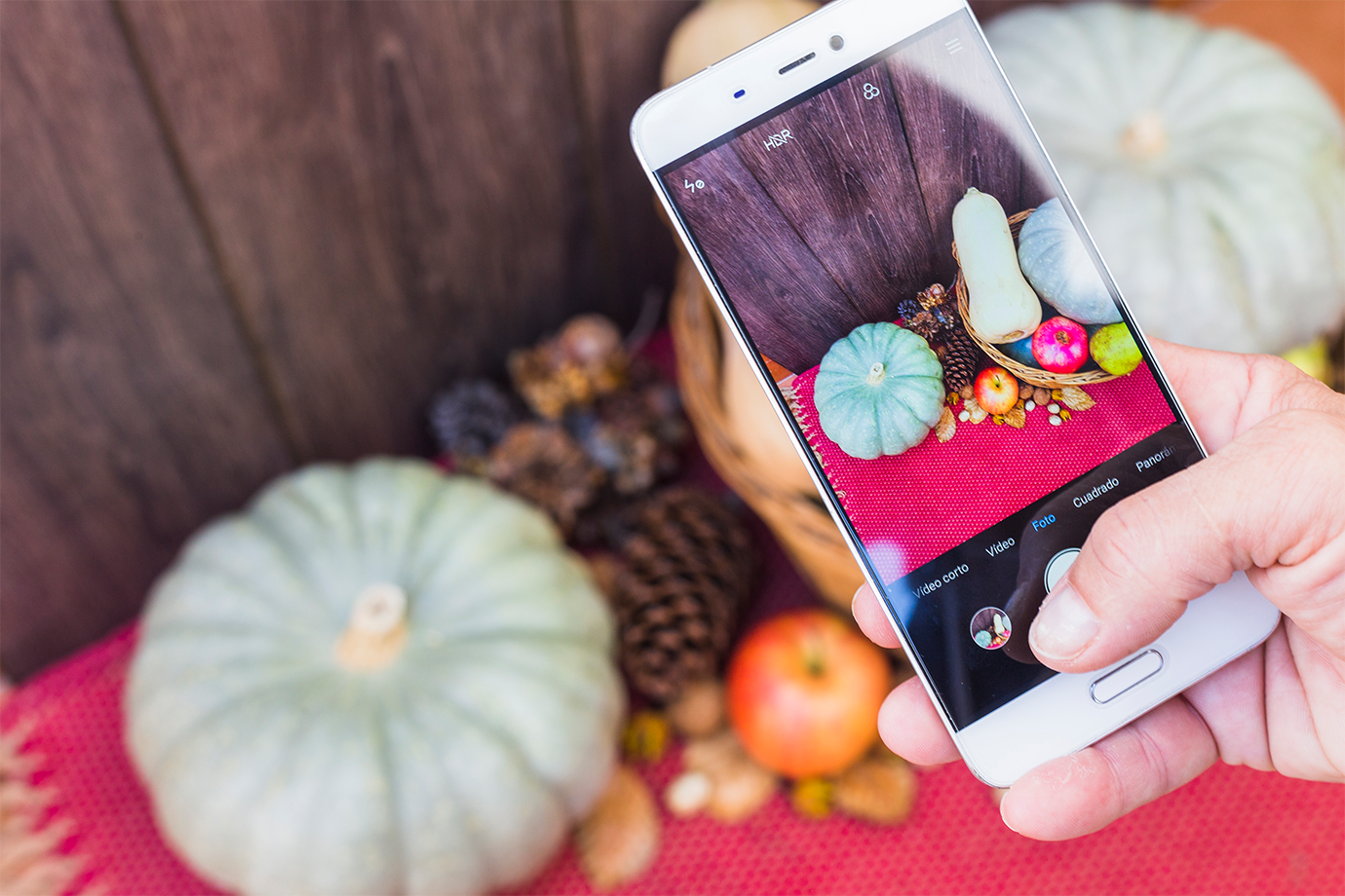 igram یک سایت عالی برای دانلود فیلم و عکس از اینستاگرام