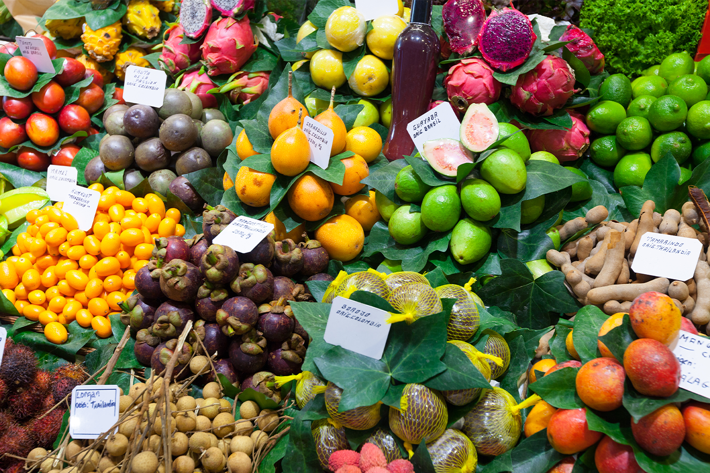 انواع میوه در میوه فروشی